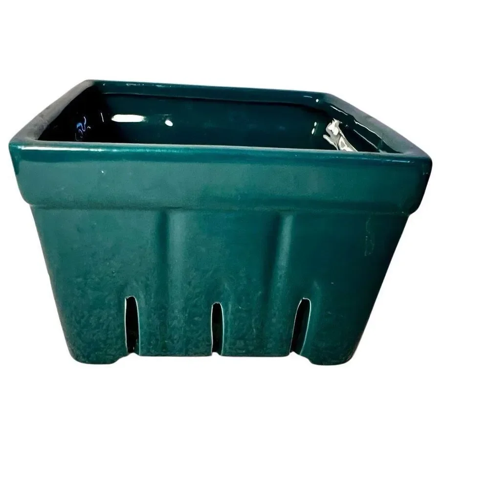 IQ Accessories Porcelain Food Fruit Storage Colander Container In Teal